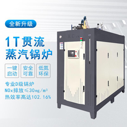 1t全预混蒸汽发生器