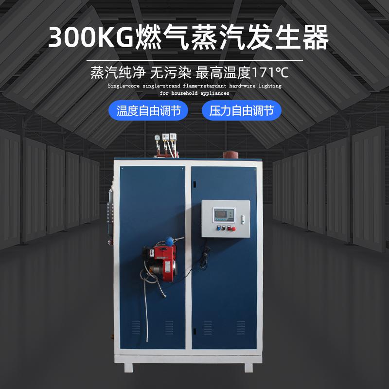 300kg燃气工业蒸汽发生器