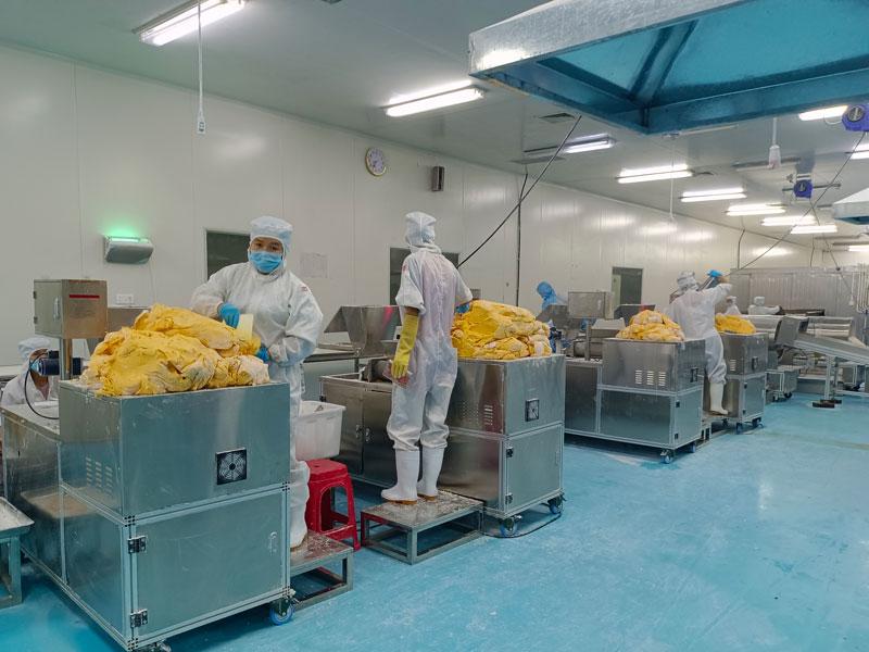 鑫达能蒸汽发生器用于食品烘干